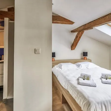 Apartament Garona - Welkeys Tuluza